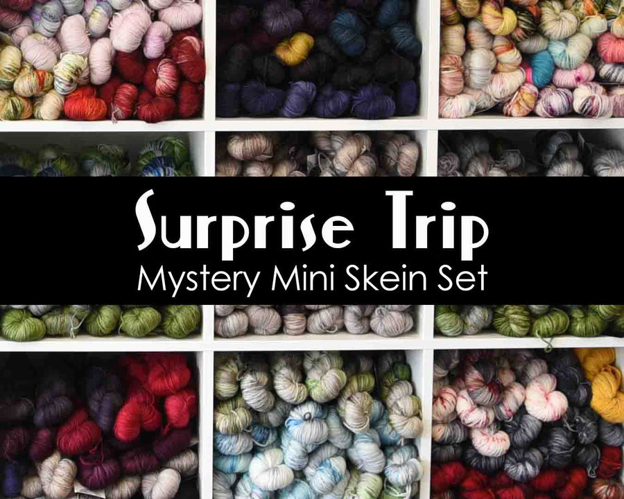 Destination Yarn Yarn Surprise Trip MINI SKEIN SET!